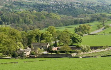 farmland valley landscape