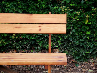 bench