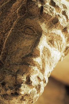 roman bust