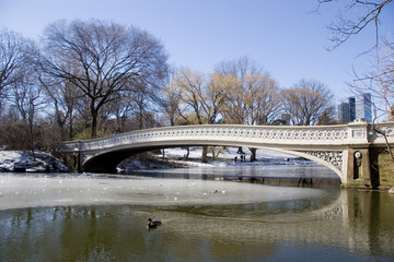 Obraz na płótnie Canvas bow bridge à central park - new york