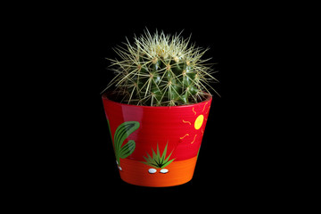 cactus pot rouge