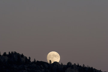 rising moon 2