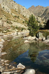 petit lac montagnard - obrazy, fototapety, plakaty