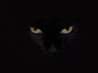 Abwaschbare Fototapete Panther schwarze Katzenaugen