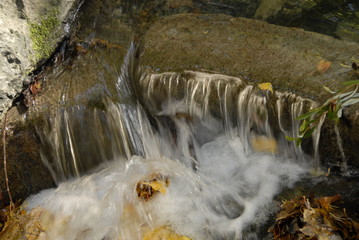 wasser