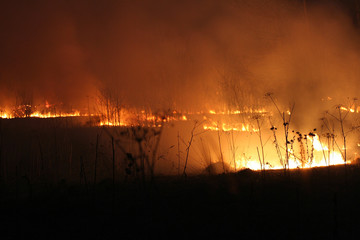 Fototapeta na wymiar burning field at night