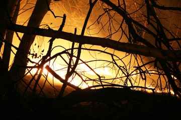 burning field at night