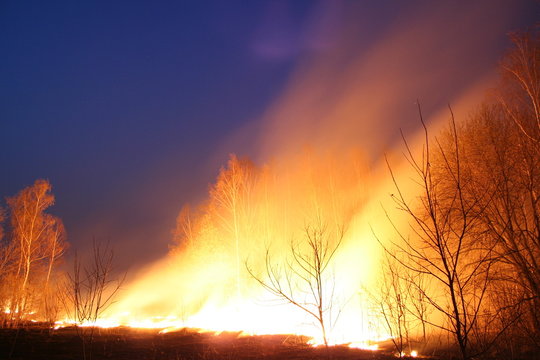 burning field at night