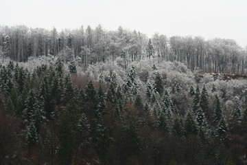 les premieres signes d'hiver