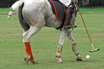 malaysia, kuala lumpur: equine polo tournament