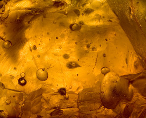 abstract of sunlight passed throughout rosin