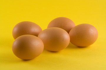 eggs