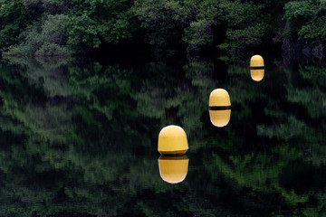 flotteurs © Pierre-Alain Dutheil