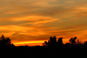 Fototapeta na wymiar arizona sunset 1