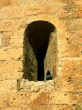 tronera