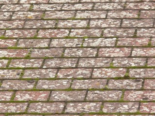 Naklejka premium roof tiles