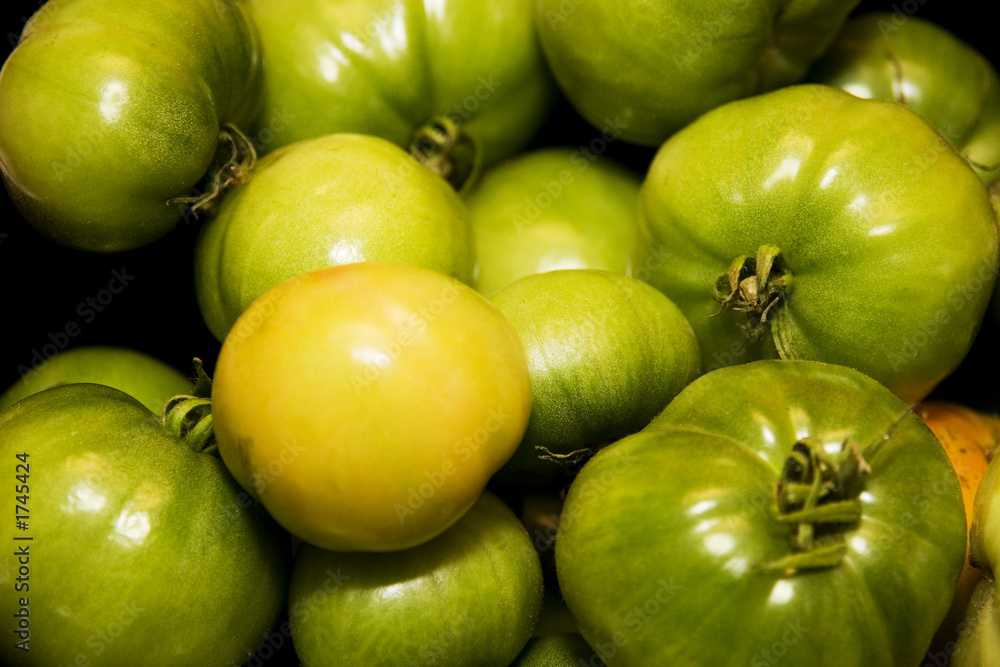 Wall mural green tomatoes