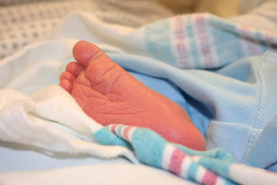 babies foot