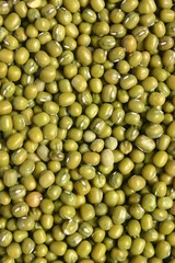 mung beans, a good source of folic acid