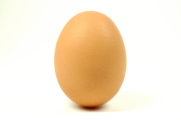 egg