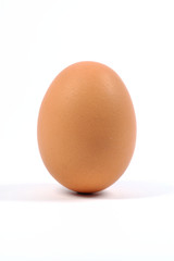 egg10