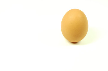 egg9