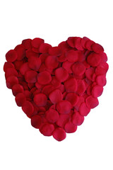 Obraz na płótnie Canvas rose petal heart