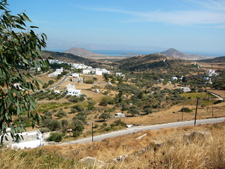 paysage d'uneîle grecque
