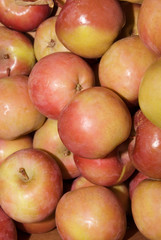 Fototapeta na wymiar apples close up