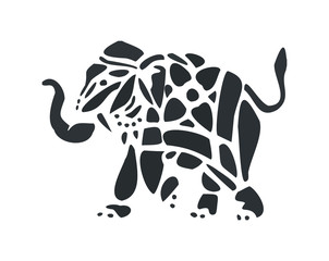 Fototapeta premium indian oriental elephant - isolated on white