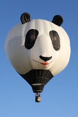 Naklejka premium panda hot air balloon