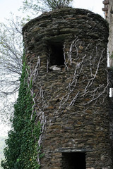 overgrown castle turret.