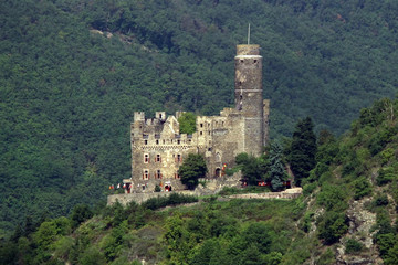 Fototapeta na wymiar rhine valley castle