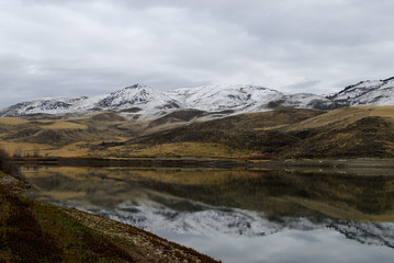 idaho reflections - reflections in brown & white
