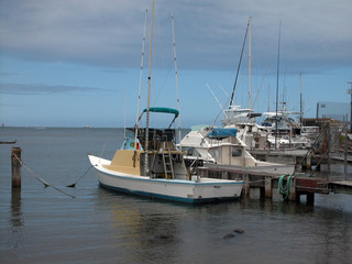 Fototapeta na wymiar hawaiian boats