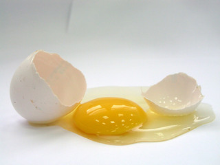 crash shell egg