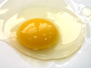 crash shell egg,crash,egg,shell egg,shell,albumen,