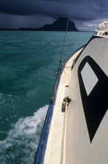 sailing into the storm