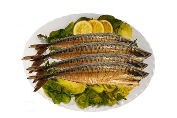 mackerels