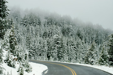 Obraz premium snow road 5