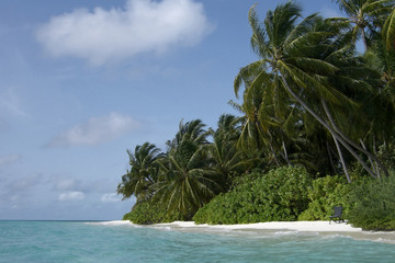 maldivian island coast