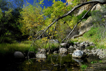 queen creek in fall
