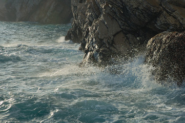 petrovac