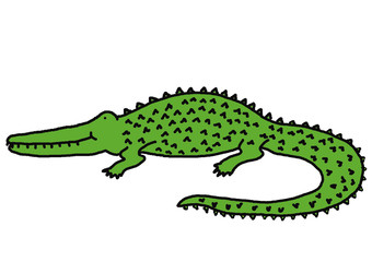Naklejka premium Funny crocodile on white background 