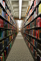 long shelves of books