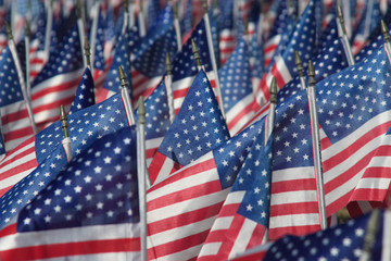 american flag