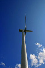 wind power