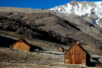 pioneer homestead