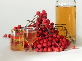 rowan red berries and rowan-vodka