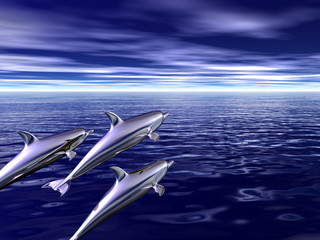 dolphins © Serp
